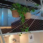 Appartamento Deco's Place Olivia